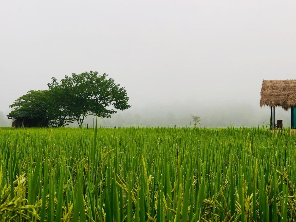 Baan Porhdoi Goidao Villa Chiang Dao Bagian luar foto