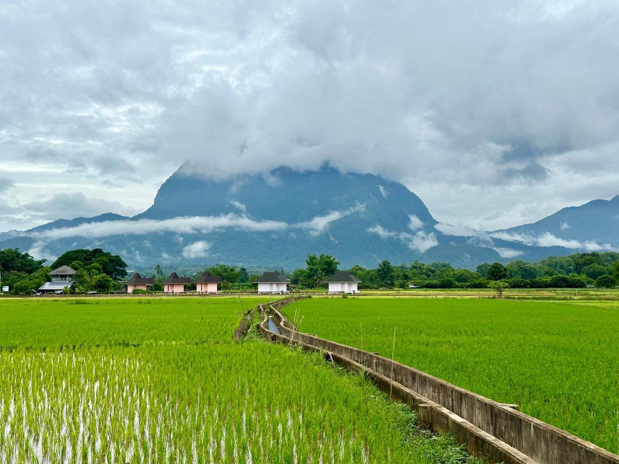 Baan Porhdoi Goidao Villa Chiang Dao Bagian luar foto